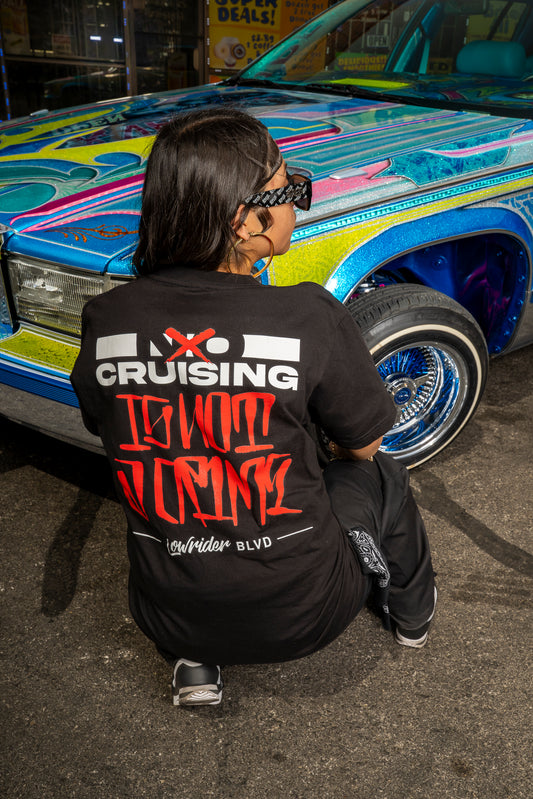 Cruising Is Not A Crime