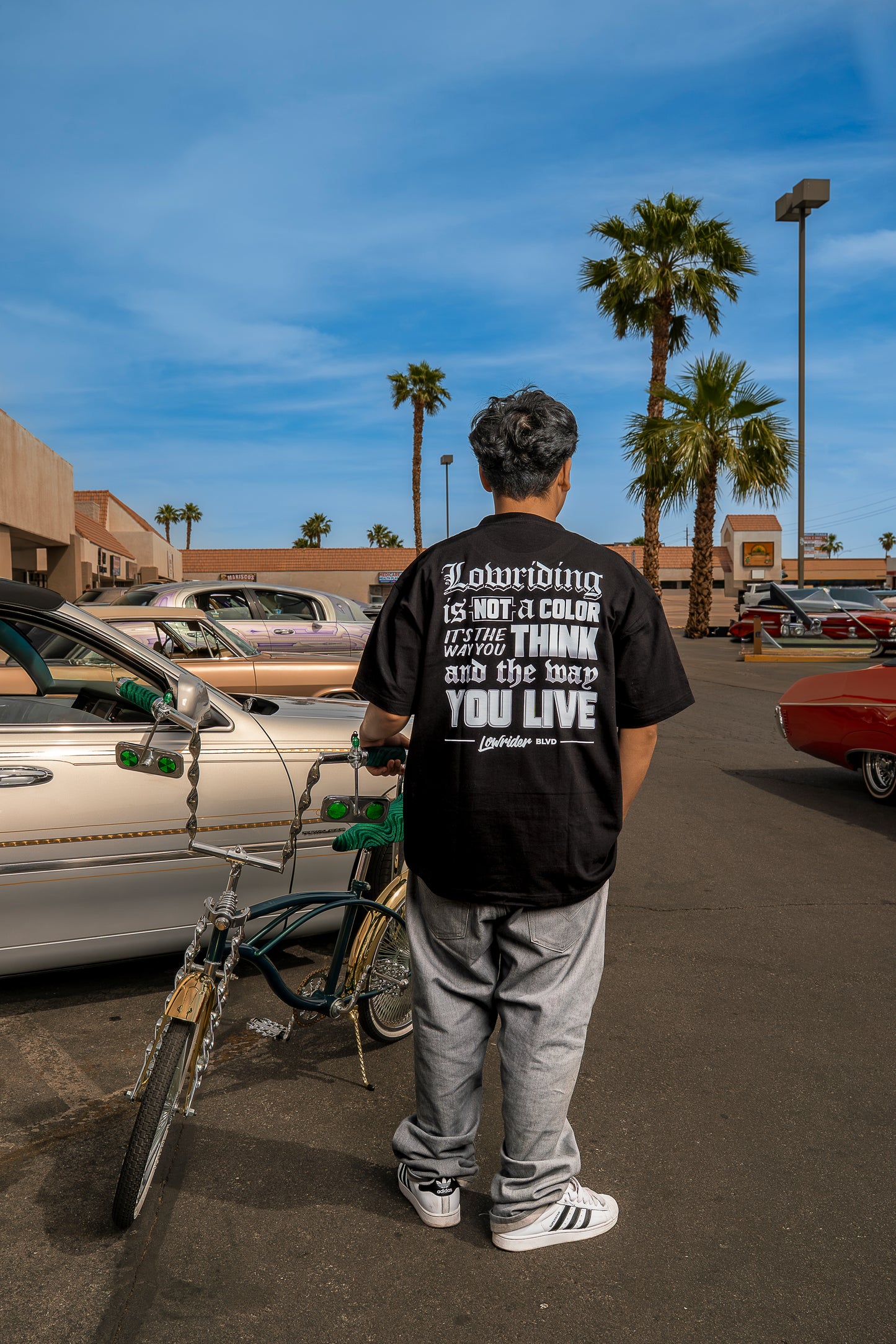Lowriding Is Not A Color