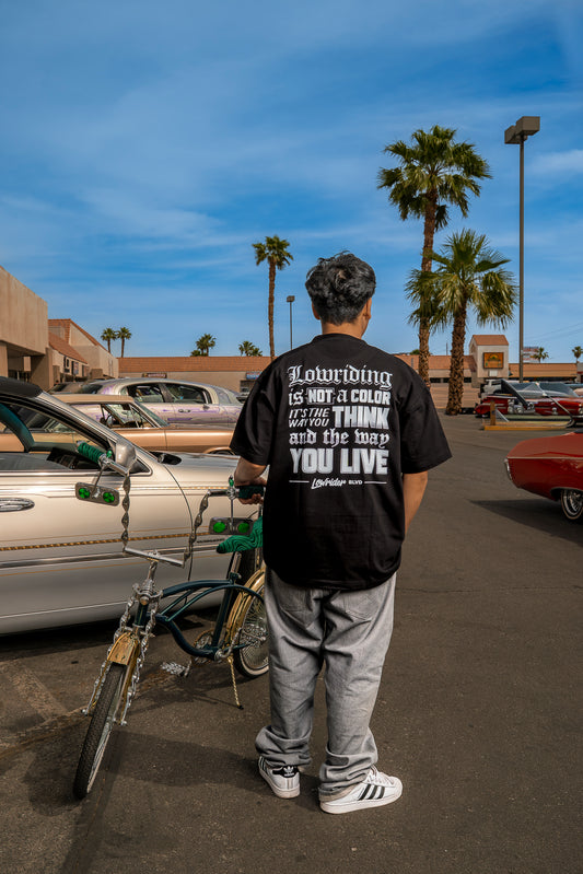 Lowriding Is Not A Color